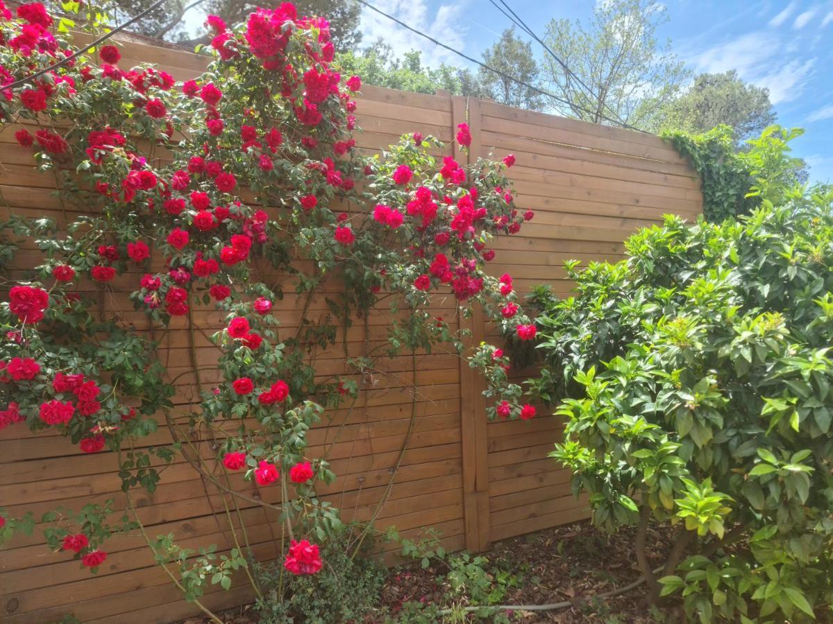 Nature Oasis Near Barcelona With Swimming Pool Parties Not Allowed Sant Cugat del Vallès Екстериор снимка